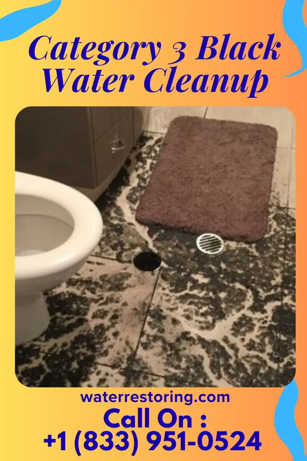 Category 3 Black Water Cleanup in Sheldon, ND