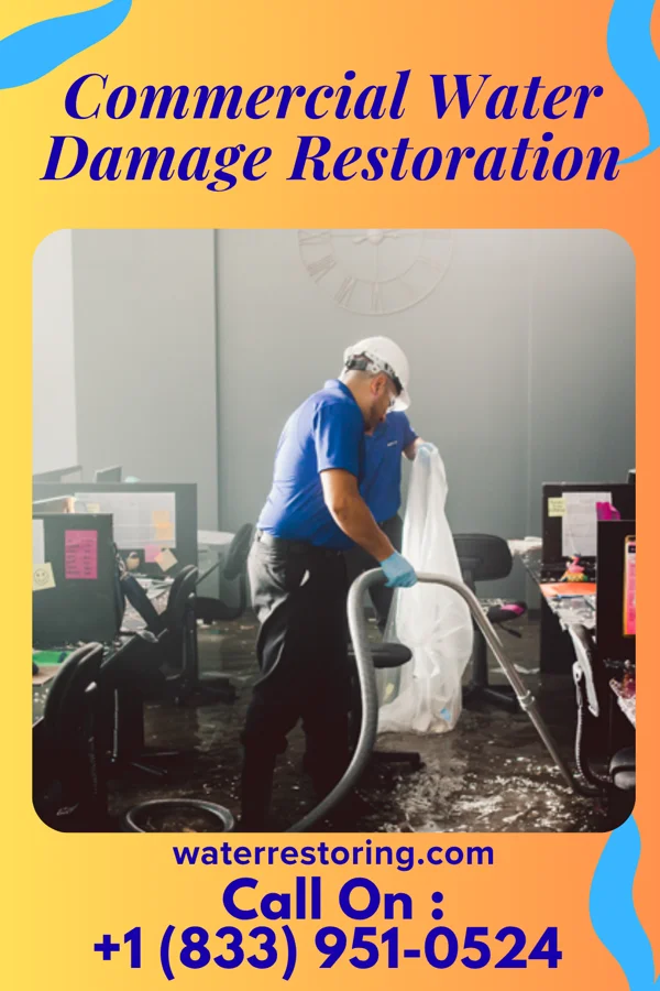 Commercial Water Damage Restoration in Sheldon, ND