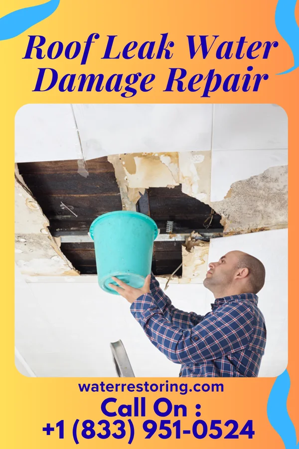 Roof Leak Water Damage Repair in Sheldon, ND